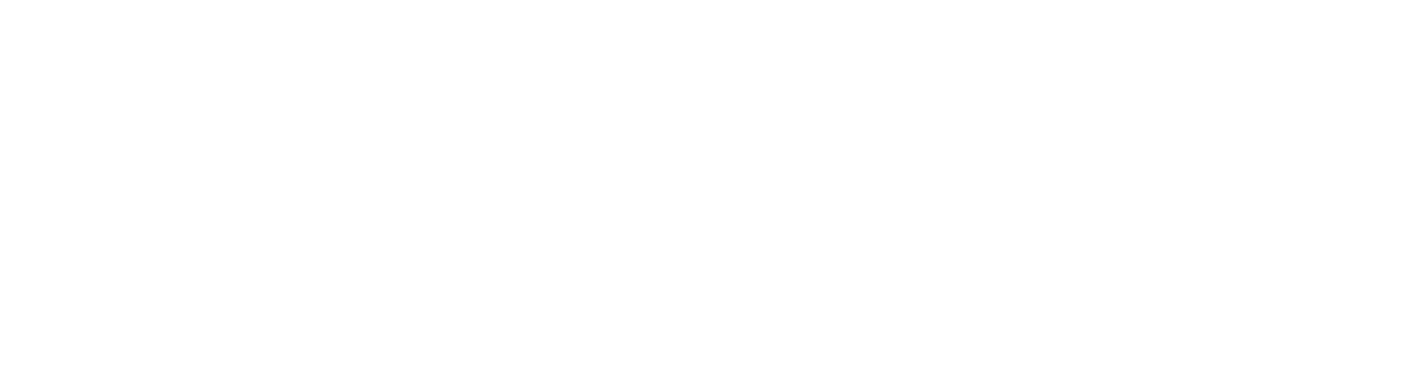 NVT-Phybridge